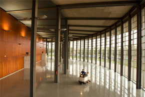 Janitorial Services
